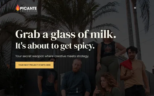 img of B2B Digital Marketing Agency - Picante Collective